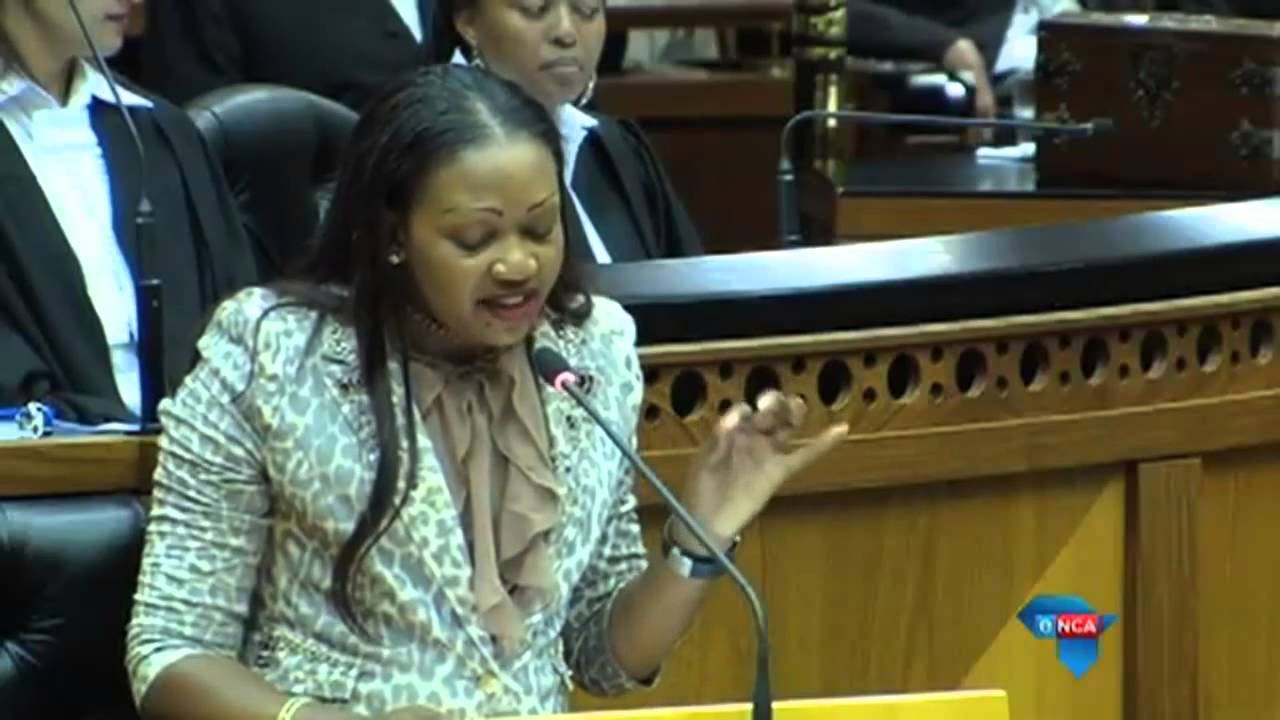 'Are you protecting the constitution or white privilege?' ANC asks Maimane
