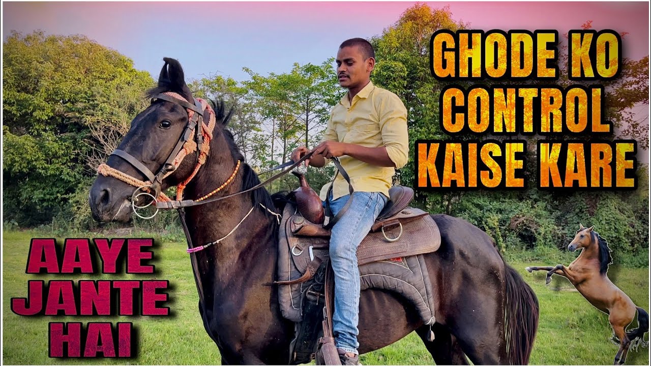 AAYE JANTE HAI GHODE KO CONTROL KAISE KARE |