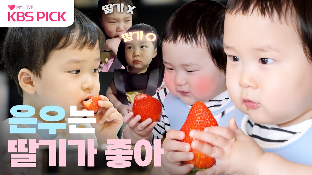 [#슈퍼맨이돌아왔다] 딸(기) 줘! 은우 최애 간식 딸기🍓딸기농장 차려주고픈 은우 딸기 먹방 모음😋｜KBS 방송