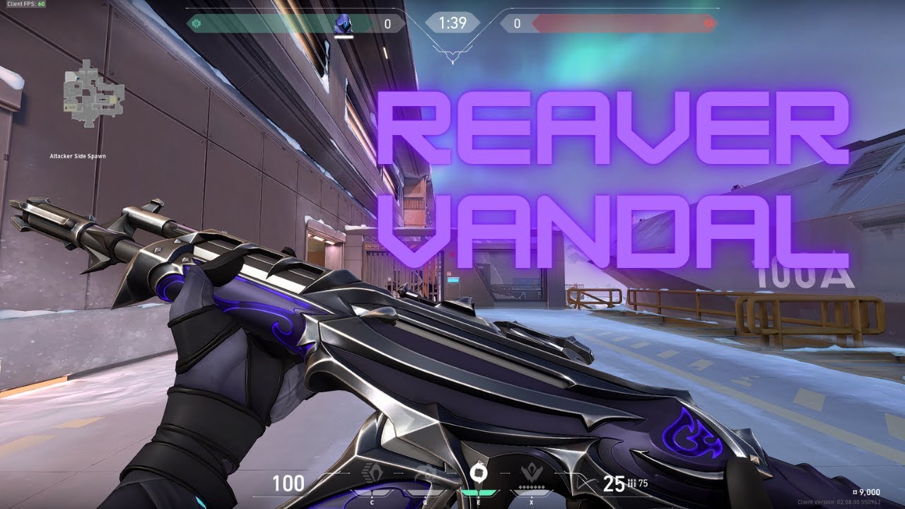 Reaver Vandal Review w/ Kill Animations (VALORANT)
