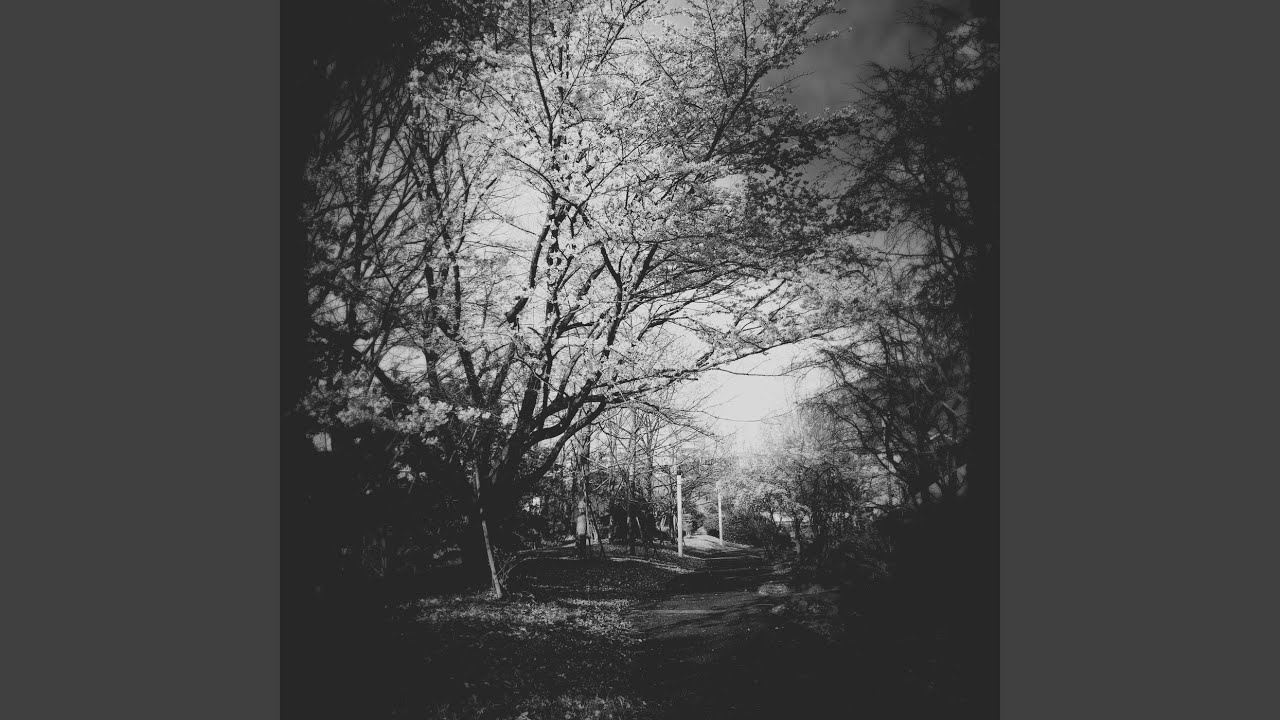 Sad Spring