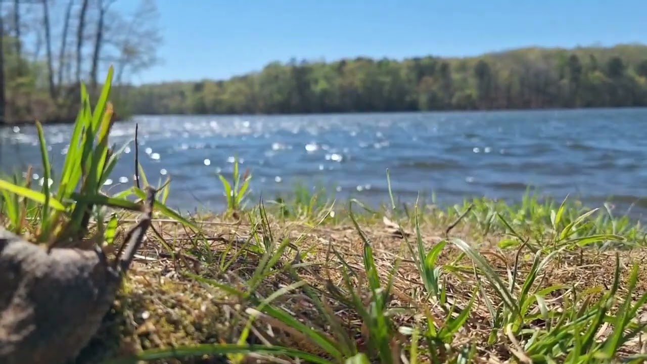 Relax by the lake