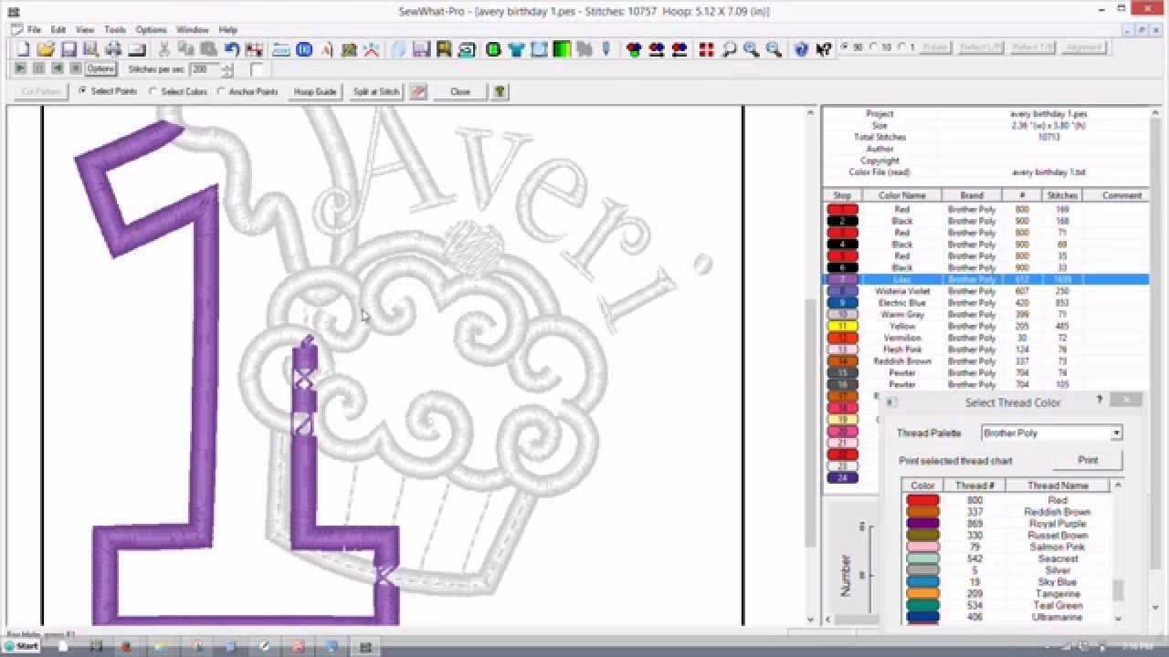 Remove Applique Overlap Using SewWhat-Pro/SWP