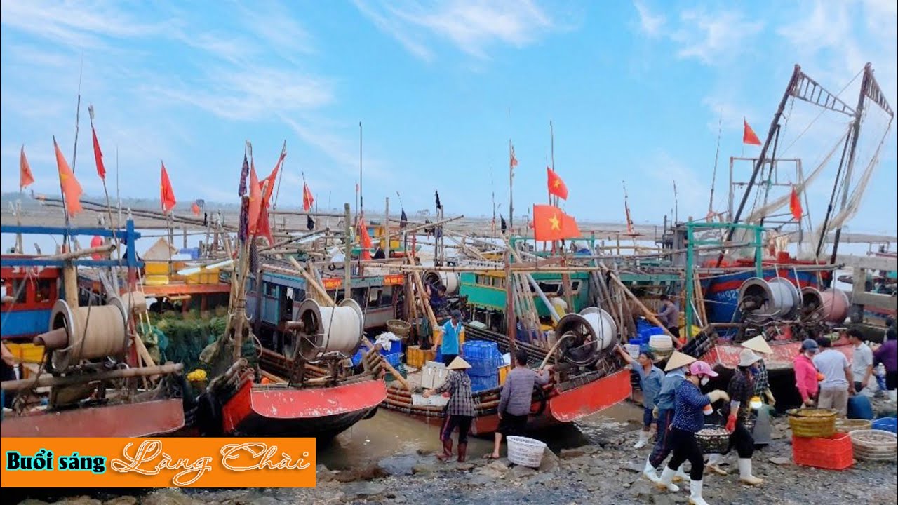Buổi sớm tấp nập ở làng chài biển Hải Tiến, Thanh Hóa| Trúc xanh TV