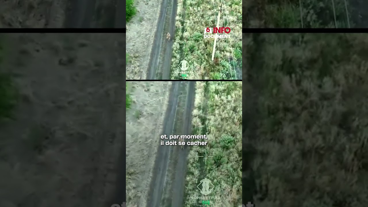 Ukraine : le sauvetage d'un soldat guid&eacute; par un drone