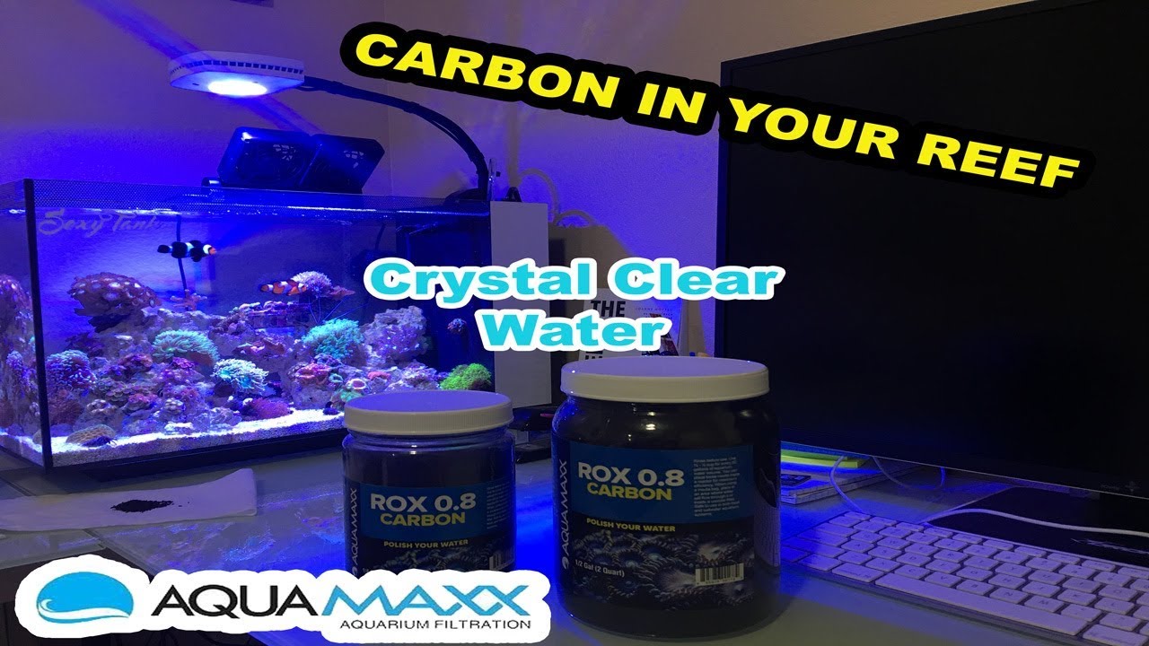 Carbon In Your Reef Tank