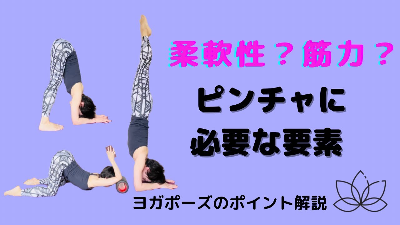 【ヨガポーズのポイント解説】ピンチャに必要な要素