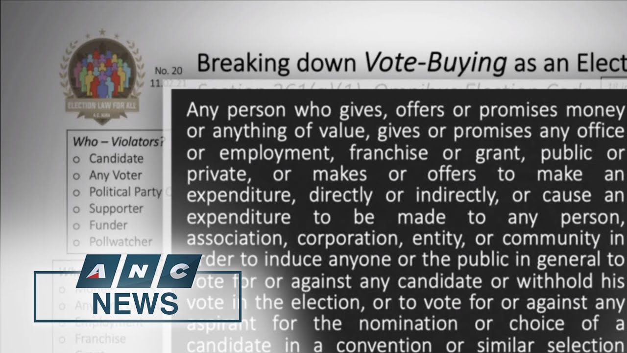 Election law Prof: A winning candidate found guilty of vote buying can be removed from post | ANC