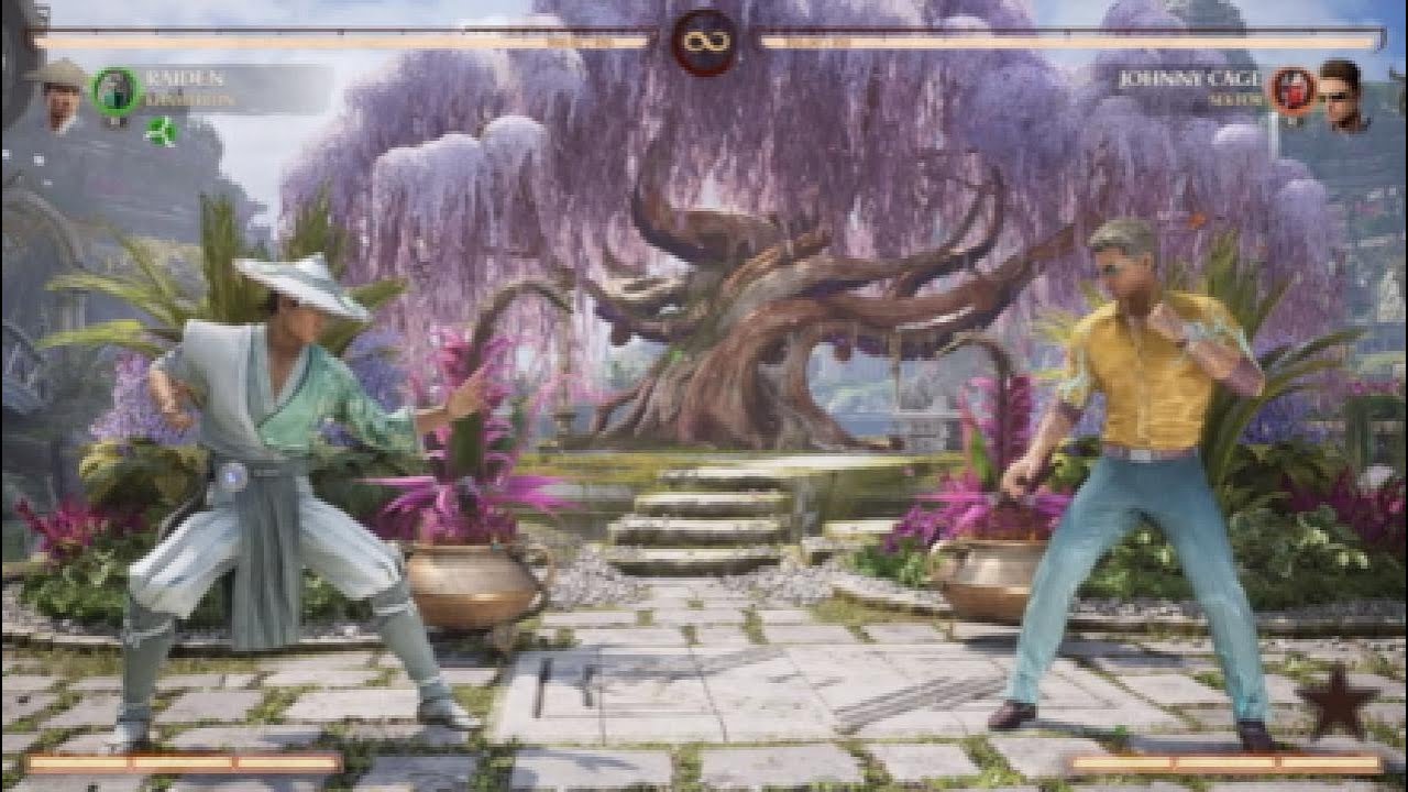 How To Play Raiden Full Advanced and Personal Kameos/Matchups Guide!!!!!