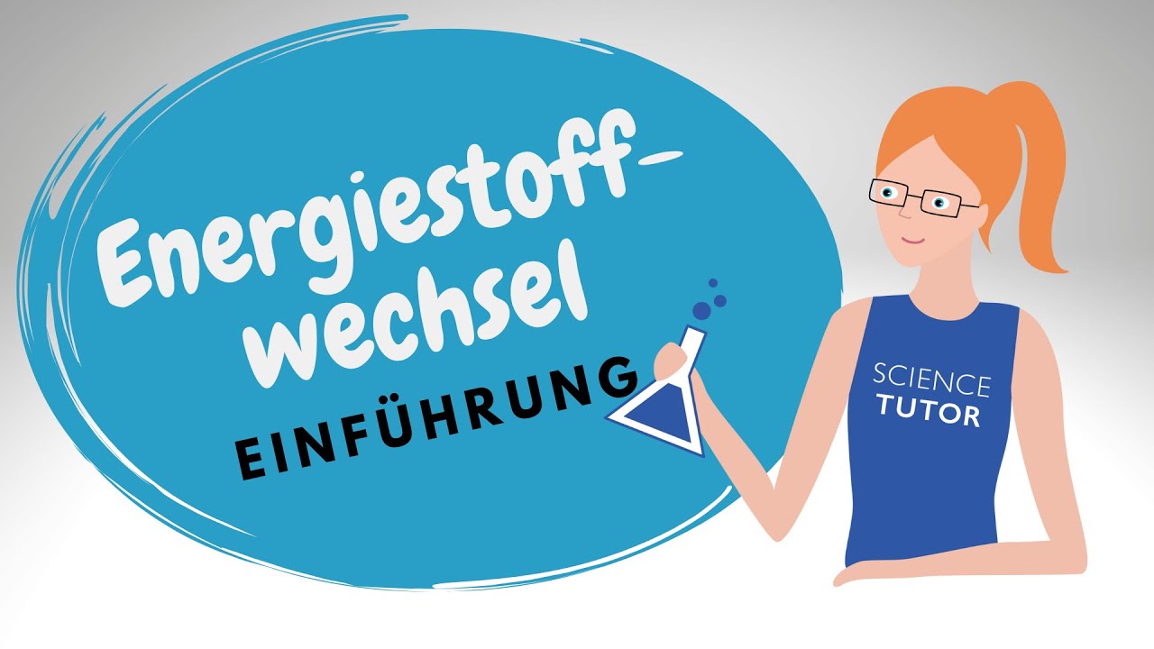 Energiestoffwechsel - eine Einführung mit Überblick und Zusammenhängen aller wichtigen Wege