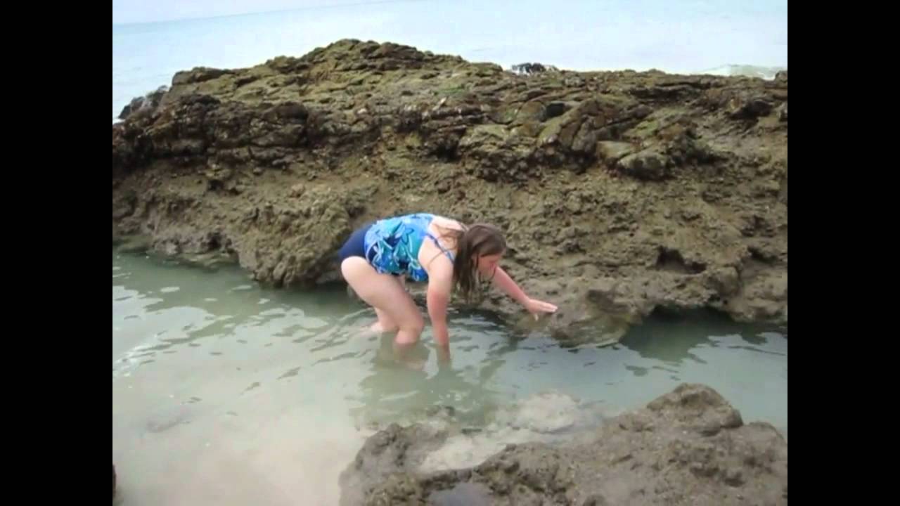 Fuerteventura, Costa Calma 2012 (Teil 1/5)