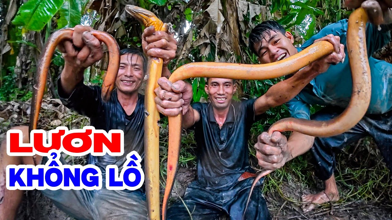 Dầm Mưa, Đâm Lươn khủng Trên 1kg Ở Rừng U Minh Hạ