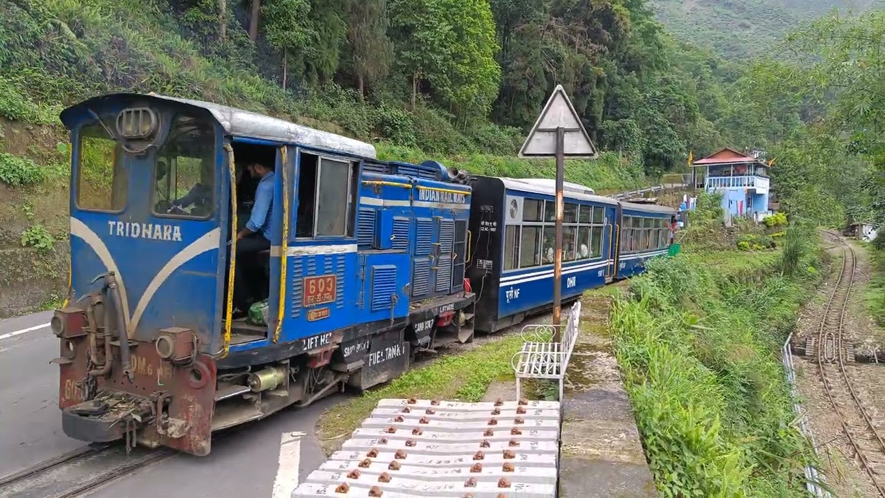 Darjeeling himalayan railway - 'Z' revarse No 6 // #darjeelinghimalayanrailway #darjeelingtoytrain