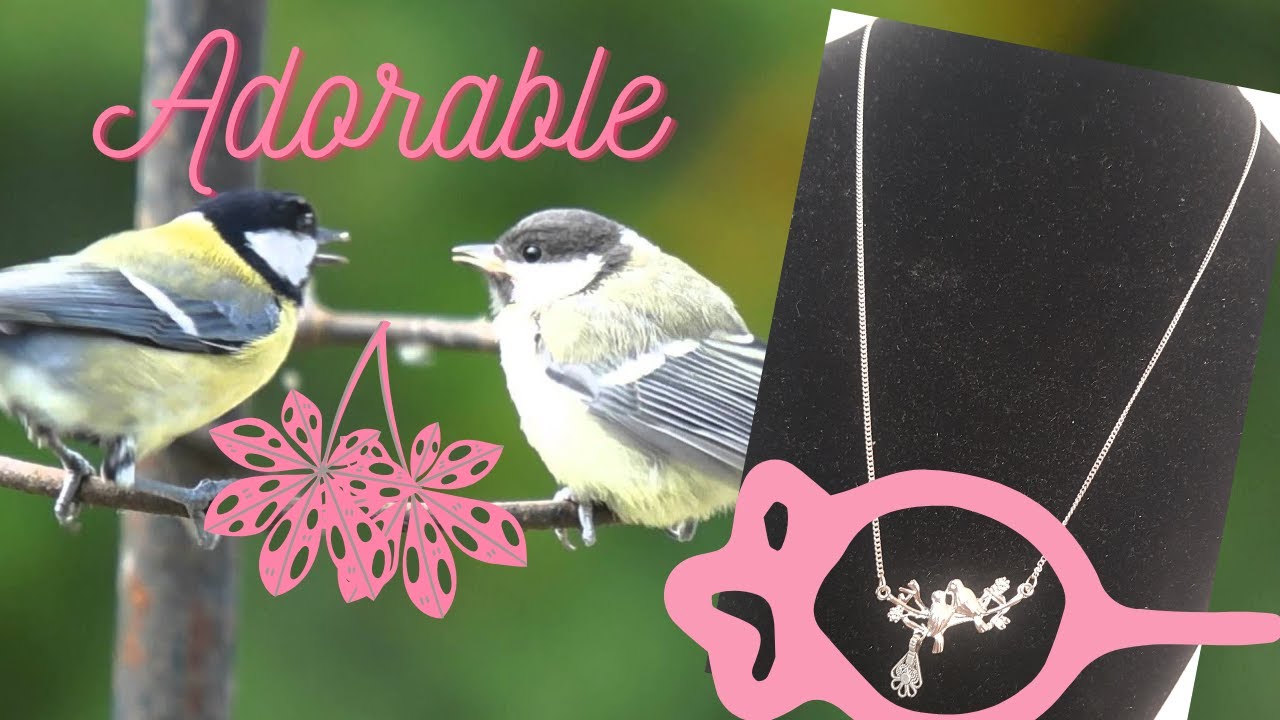 Giving🌿to CUTE BIRDS makes an Adorable BIRDS Necklace🕊🕊