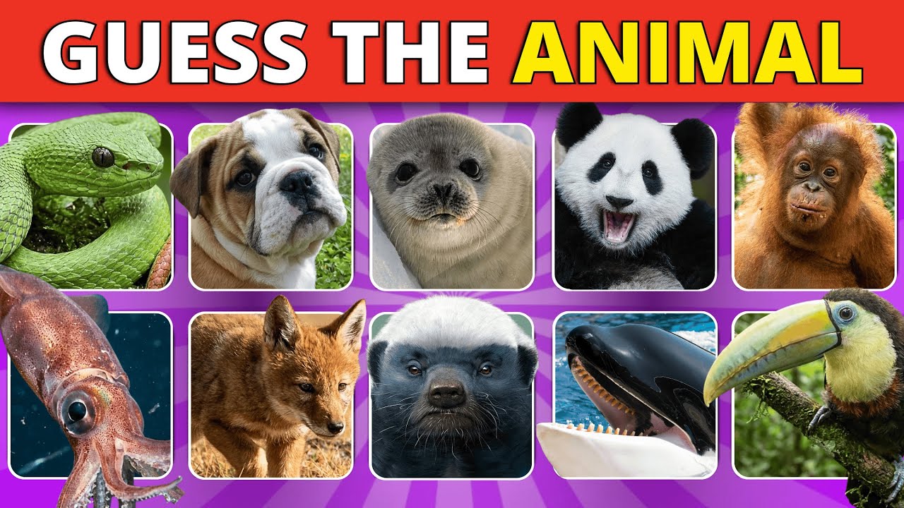 Can You Guess the Animal in 3 Seconds?| Easy, Medium, Hard, Impossible