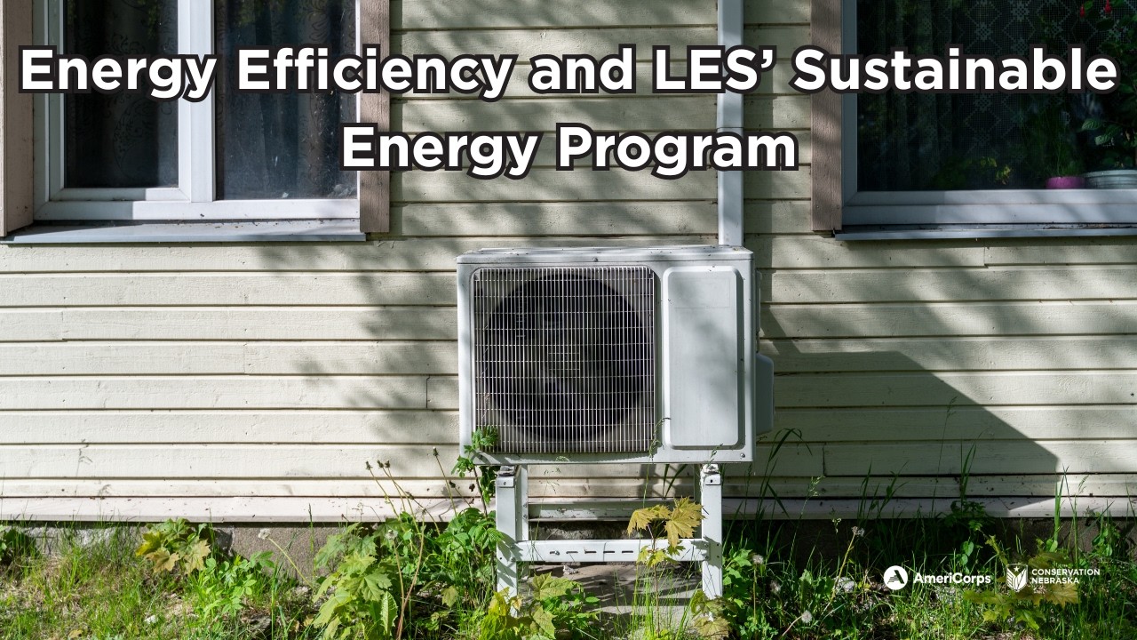 Energy Efficiency and LES' Sustainable Energy Program
