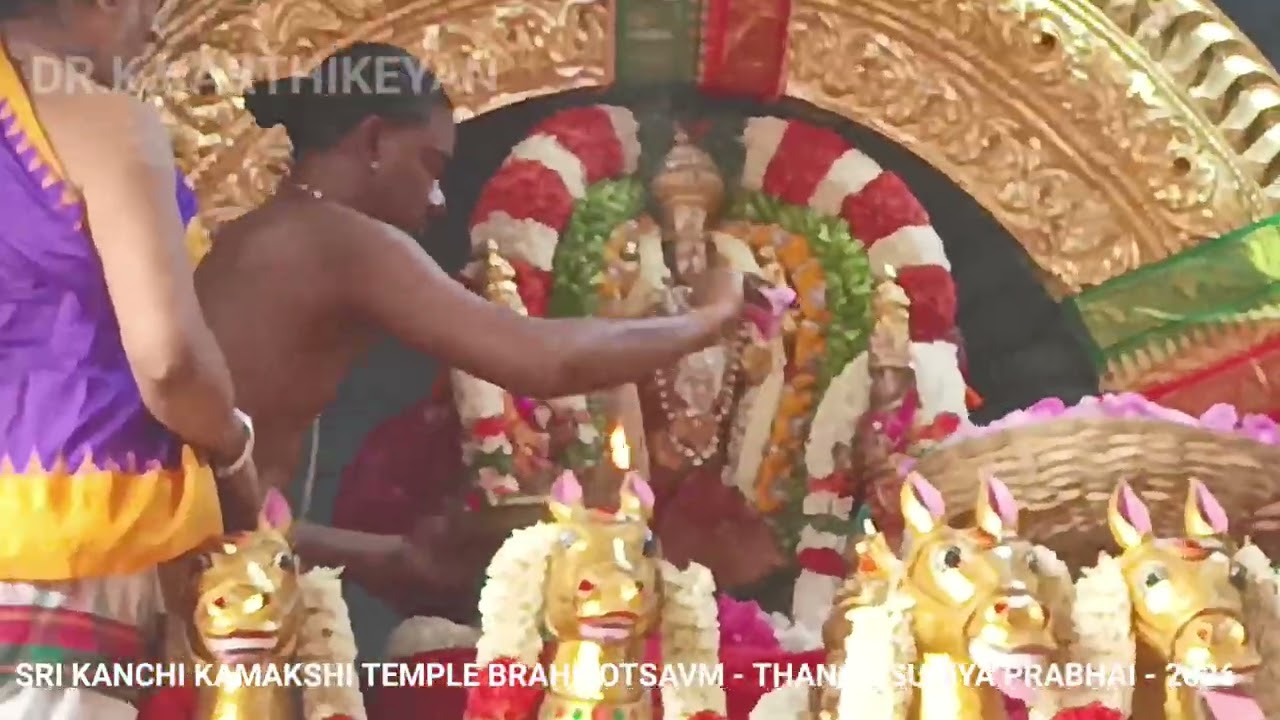SRI KANCHI KAMAKSHI TEMPLE BRAHMOTSAVM - THANGA SURIYA PRABHAI - 2026