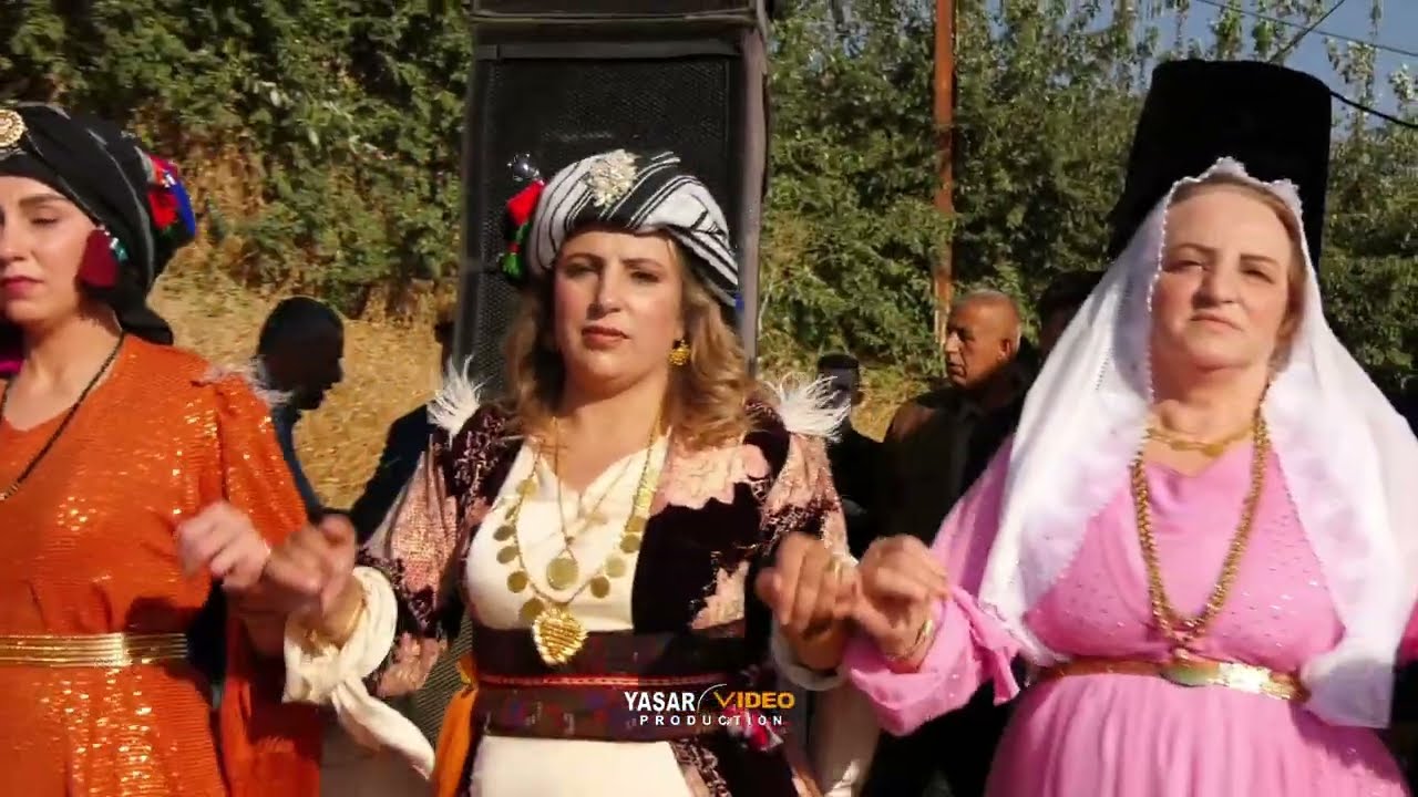 Goyan Aşireti Serkan & Rojin Baran  Görkemli Düğünü Part 4