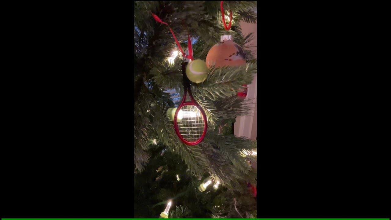 Vivid Ornament Keeps the Special Memory #ornaments