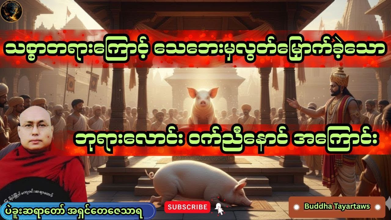#သစ္စာတရားကြောင့် သေဘေးမှလွတ်မြှောက်ခဲ့သော ဘုရားလောင် ဝက်ညီနောင်အ​ကြောင်း#views #ပဲခူးဆရာတော်#duet 