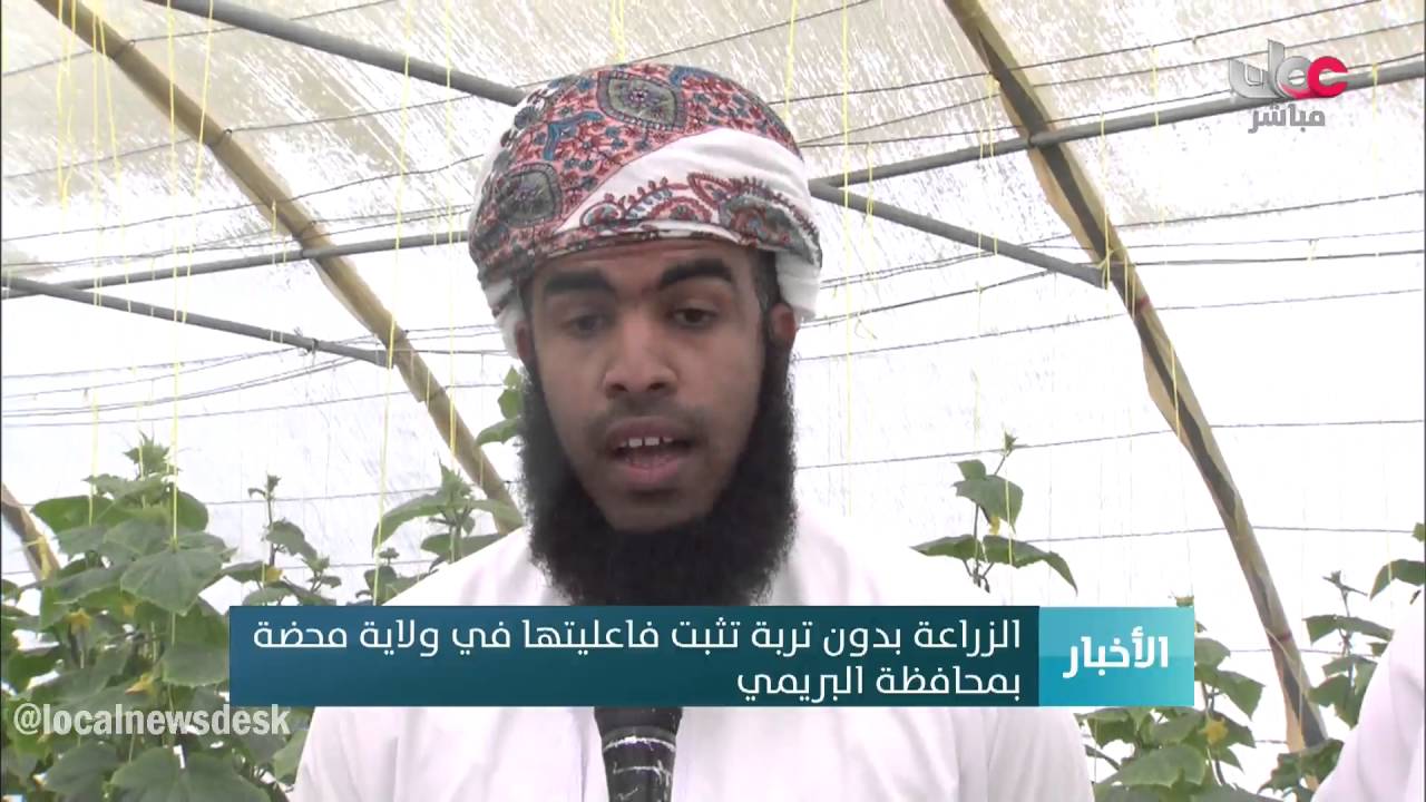 الزراعة بدون تربة تثبت فاعليتها في ولاية محضة  بمحافظة البريمي
