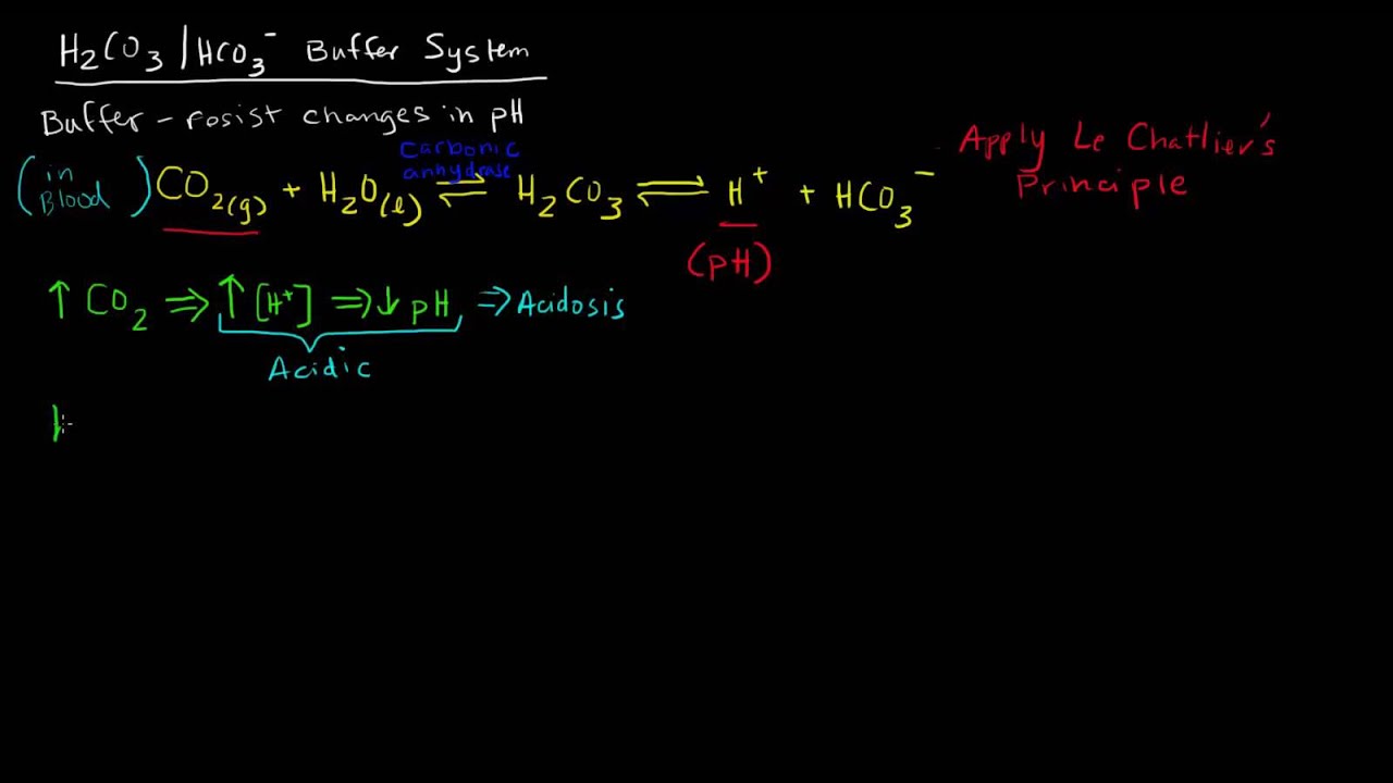 Acids, Bases, and The H2CO3/HCO3- Buffer System (Hyperventilation/Hypoventilation)