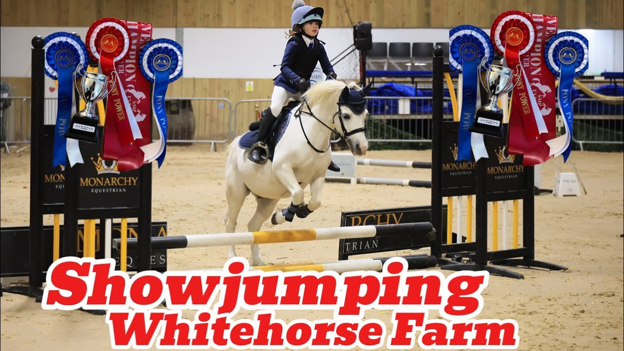 🏆SHOWJUMPING🏆WHITEHORSE FARM🏆