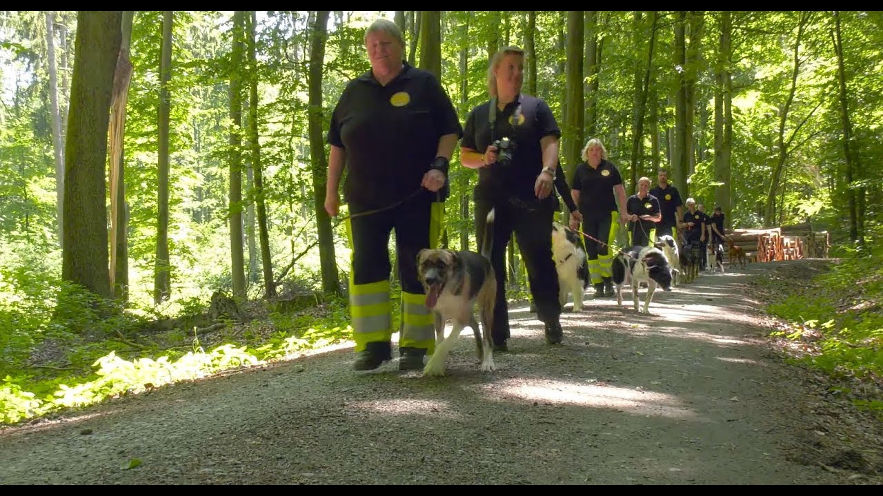 Die Rettungshundestaffel Goldener Grund – Teil 2