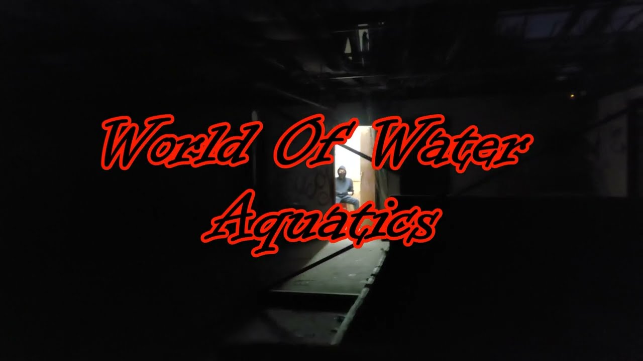 World of Pets/World Of Water Aquatics (Timperley) (Explore #31)
