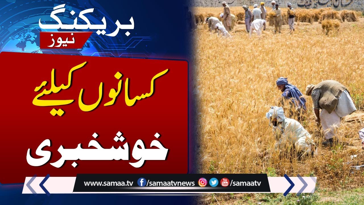 Punjab Govt Launhces Loan Application For Farmers | Breaking News | SAMAA TV
