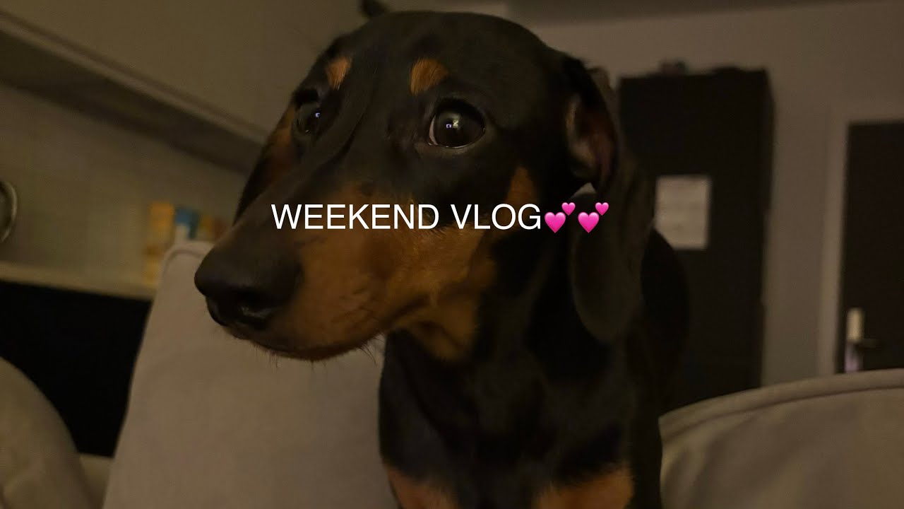 WEEKEND VLOG! WE BOUGHT UNCLAIMED PARCELS…