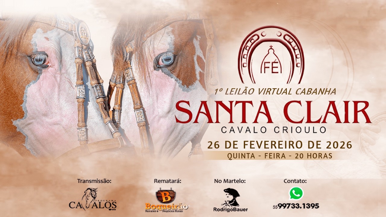 1º Leilão Virtual CABANHA SANTA CLAIR