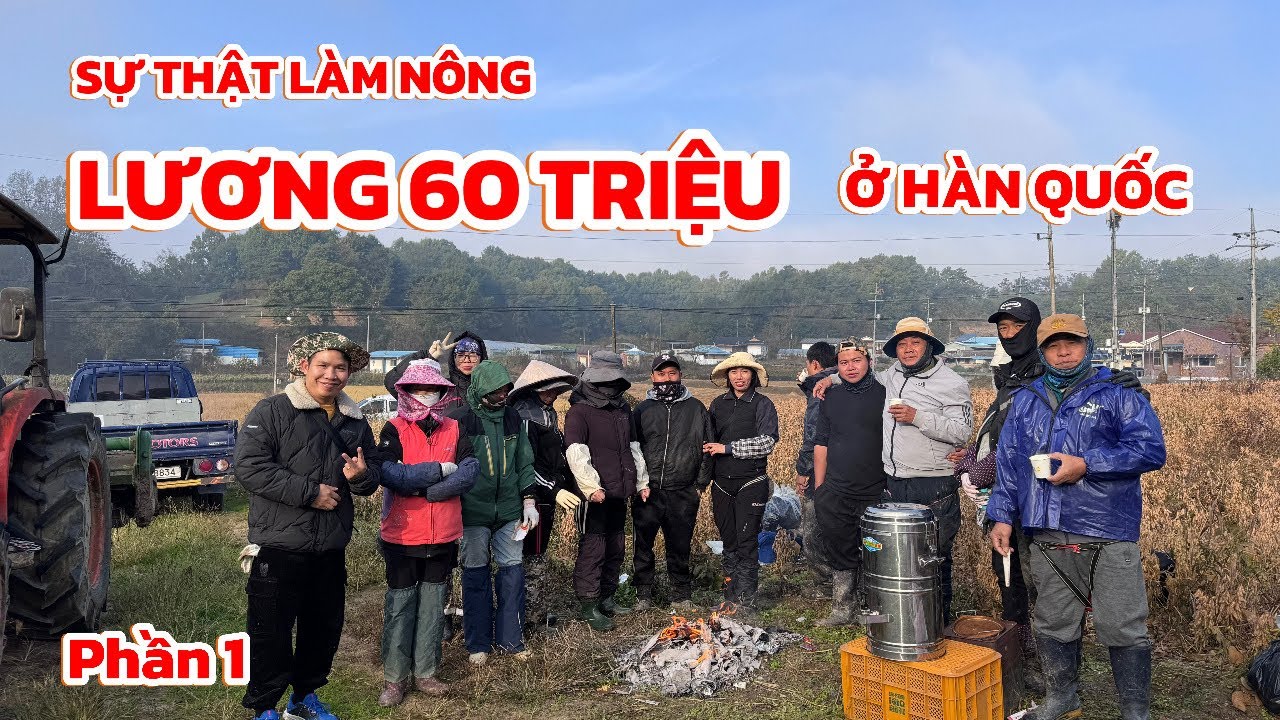 Phần 1 | Sự thật về nghề làm nông ở Hàn Quốc thu nhập 60 triệu/tháng có thật không? | Thi Hàn Quốc 