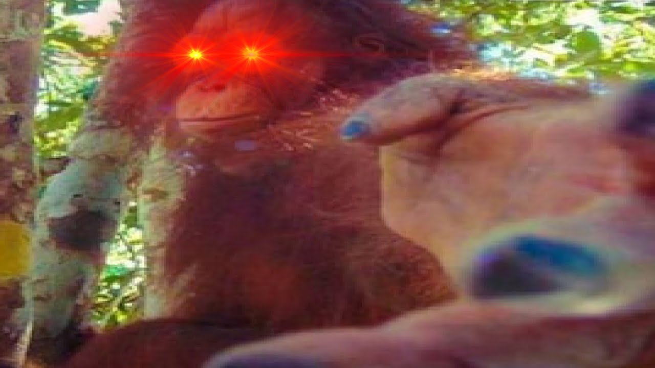 return to monke