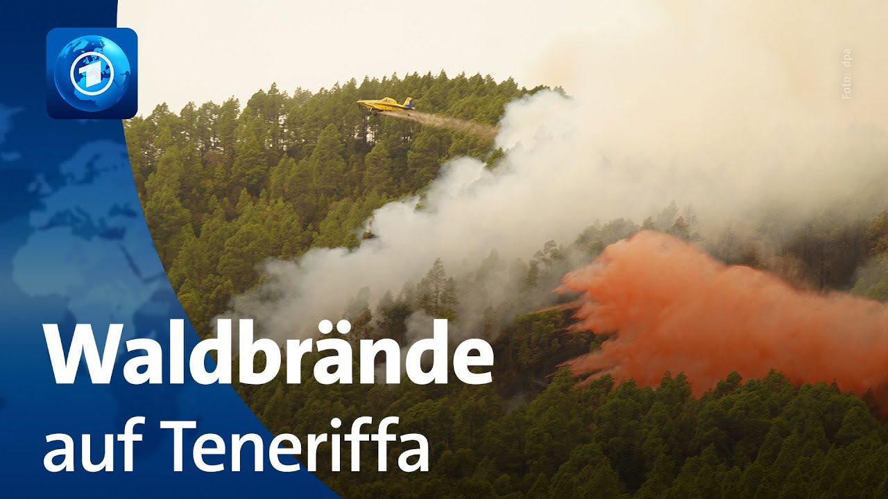 Waldbrände auf Teneriffa: Feuer breiten sich weiter aus