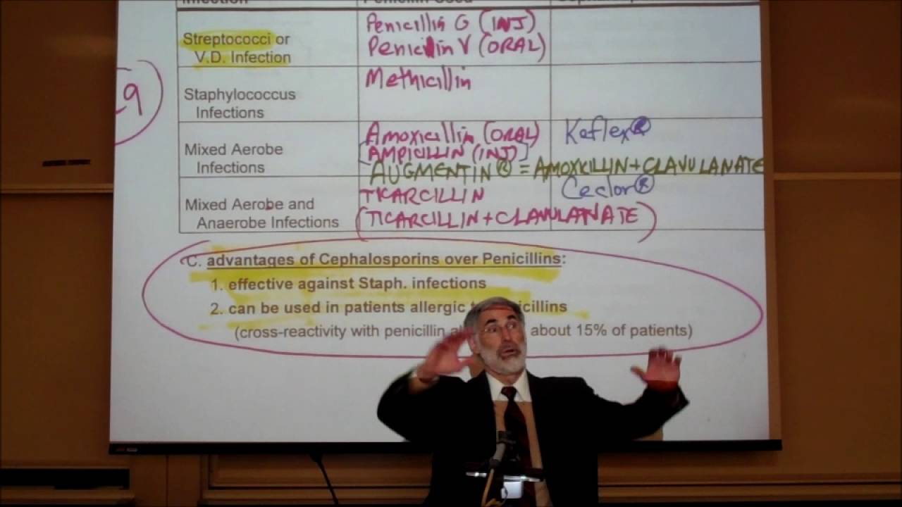PHARMACOLOGY; CEPHALOSPORINS, ERYTHROMYCINS, TETRACYCLINES, ANTI-FUNGAL ANTIBIOTICS