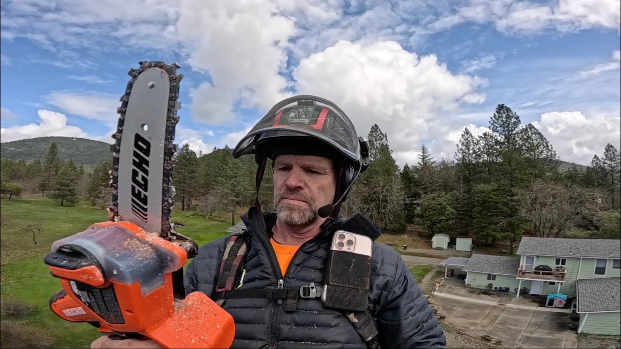 Testing the Echo DHS 3006 Pruning Saw - On a REMOVAL