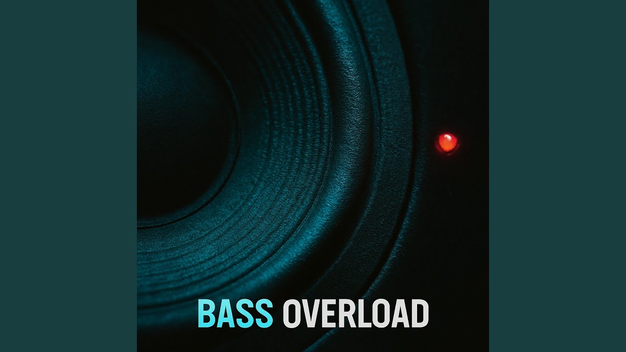 BASS OVERLOAD