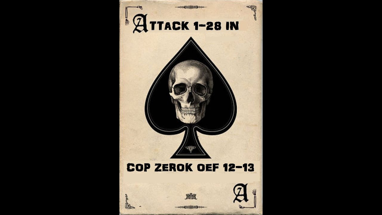 A-Co 1-28 C.O.P Zerok O.E.F 12-13