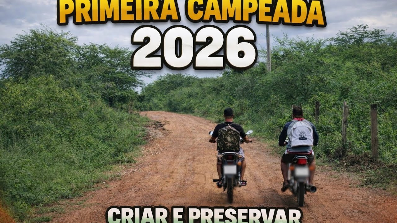 Olha Esses Papa-Capim na Campeada! Canto Forte do Começo ao Fim 🎶🔥