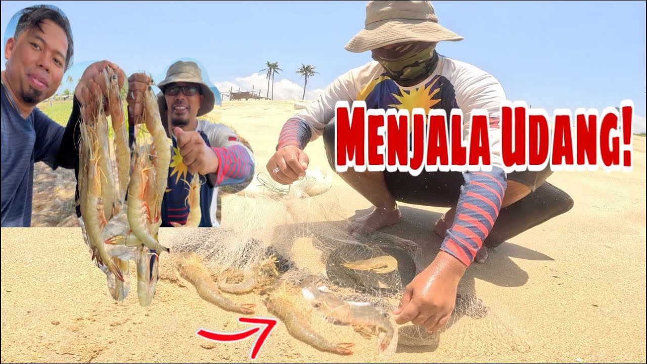 🇲🇾MENJALA UDANG BESAR BAS TEPI PANTAI TERENGGANU ! | Traditional Cast Net Fishing