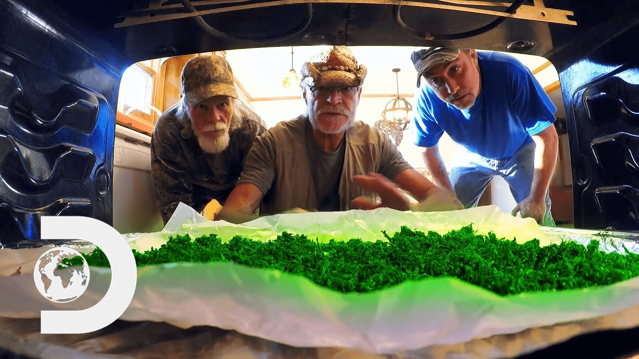 Tickle Experiments With CBD Infused Peach Brandy! | Moonshiners