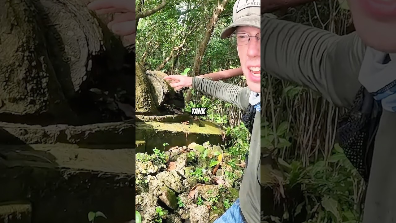 He Found a Hidden WWII Battlefield in the Jungle&hellip; with Live Bombs