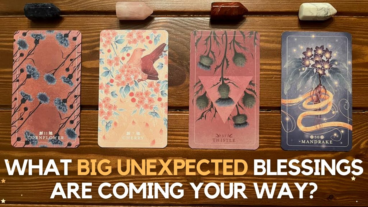 What Big Unexpected Blessings Are Coming Your Way? ✨😍 🎁 🎉✨ | Pick a Card