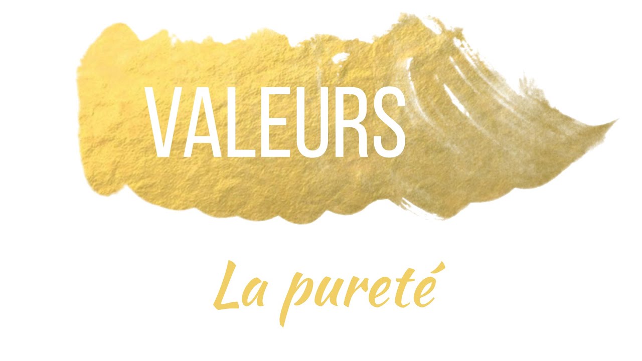 Valeurs - La puret&eacute; - Daniel POTTIER
