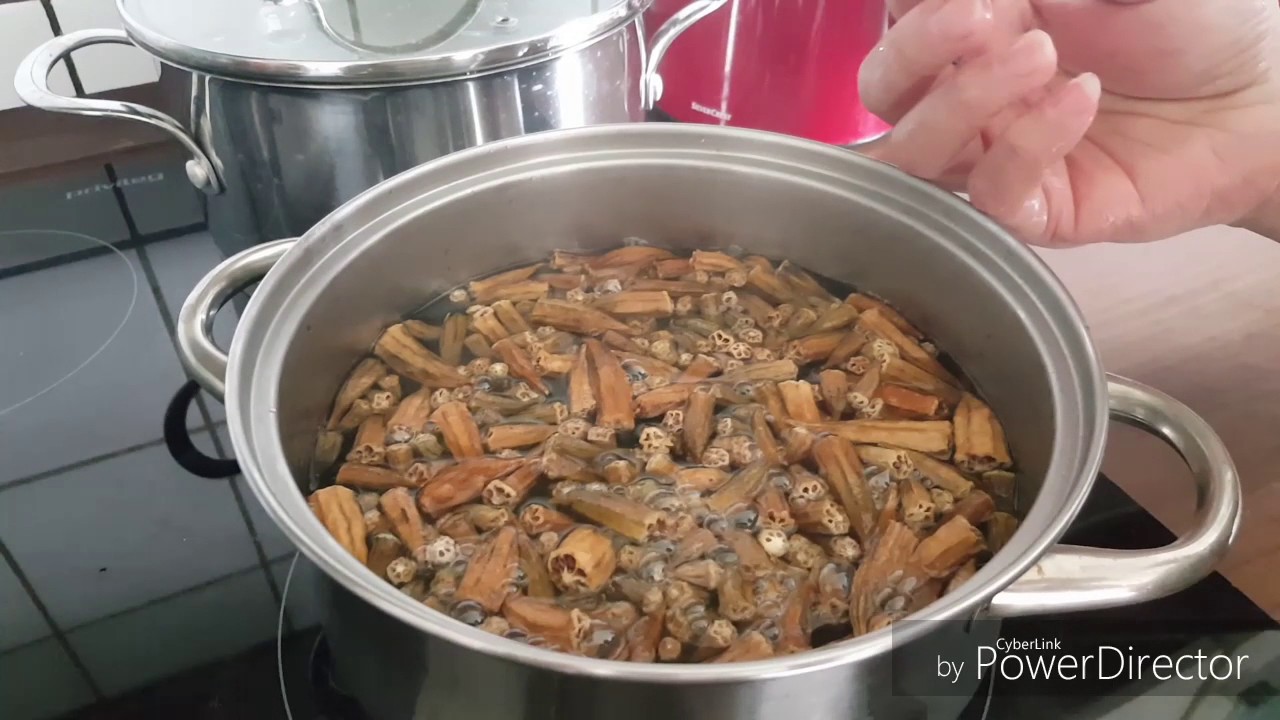Xwardni kurdi Tara Amin chonyati lenani shlai bamei wshk