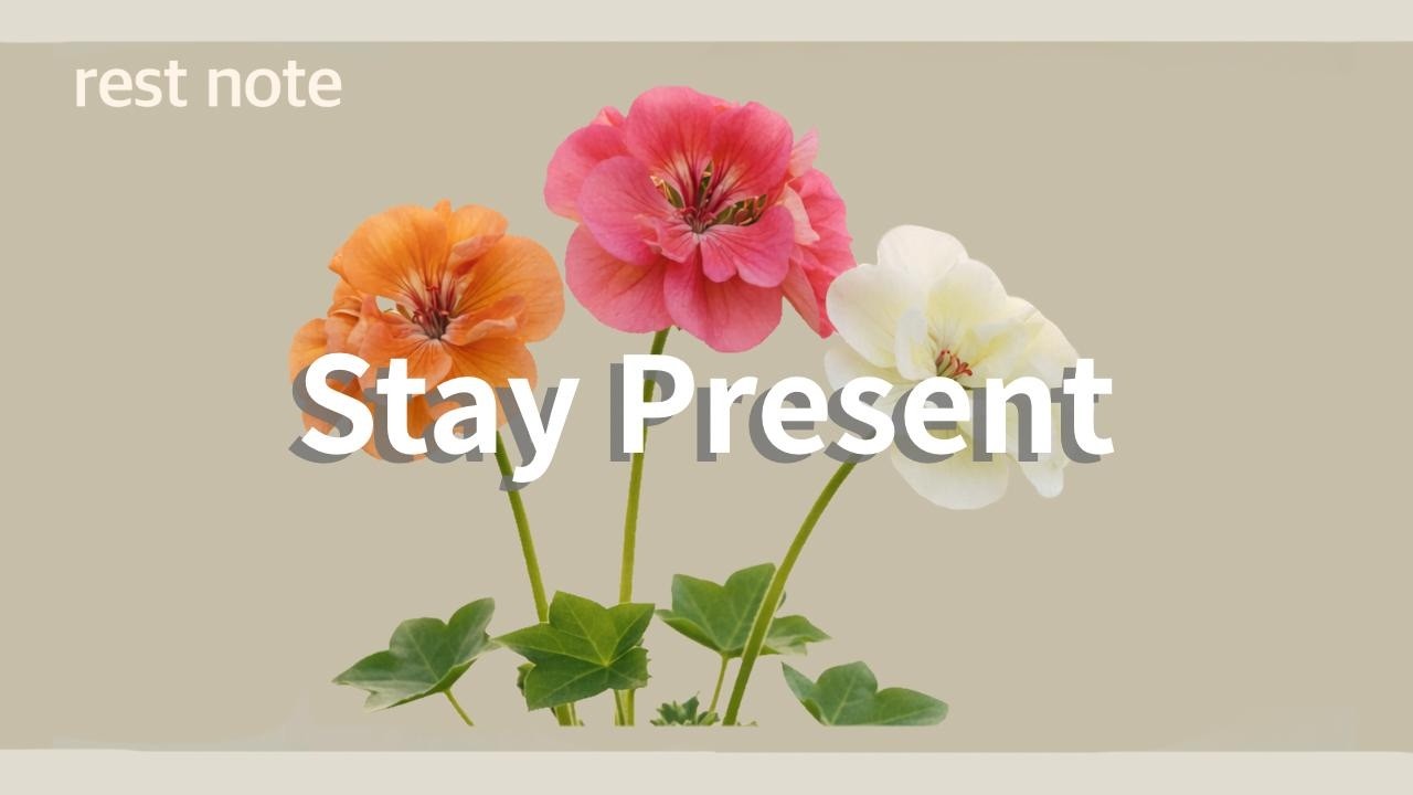 Stay Present｜今を大切にして｜Playlist chill house  lo-fi