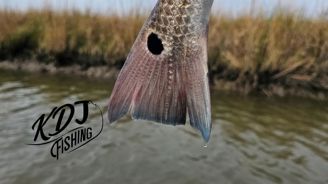 Light Tackle Redfish Action/Size Doesn't Aways Matter