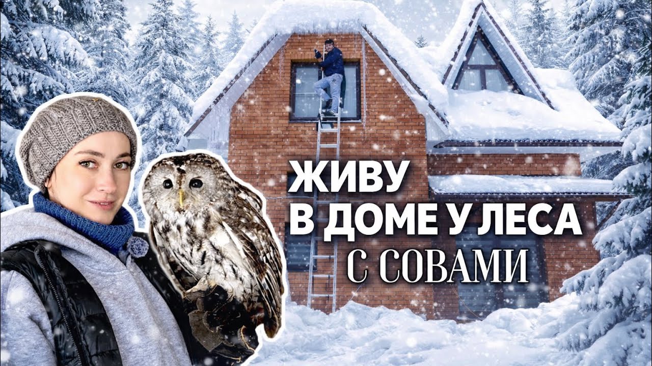 Когда стихия за окном: мои дни в снежном убежище.