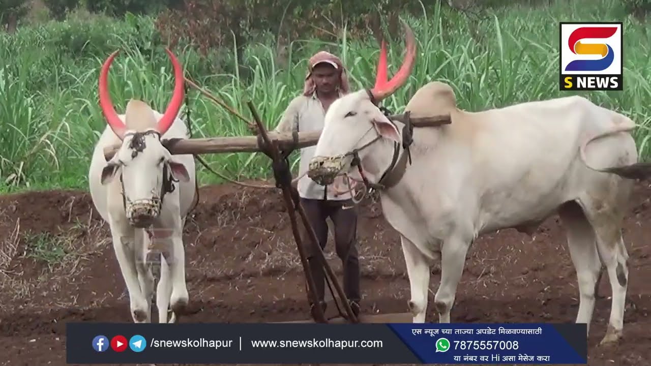 मुख्यमंत्र्यांनी शेतकर्‍यांच्या  कर्जमाफीची केलेली  घोषणा फसवी - शिवाजीराव परुळेकर